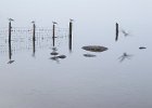A Foggy Day at Derwent Water - Linda Jackson (Open)